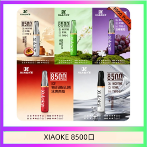 梟客XIAOKE一次性電子菸拋棄式8500口