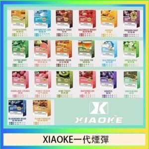 XIAOKE梟客煙彈一代電子菸彈3顆入適配一代主機